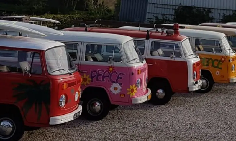 van 20 tot 200 gasten in old timer busjes en/of cabrio Beetles