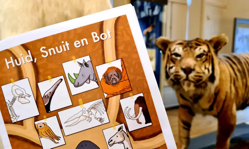 Speurtocht voor kinderen