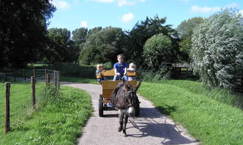Paarden en wagen