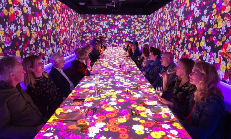 Dinner in Motion vele kleurtjes