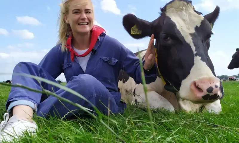 Koe knuffelen Boerderijrecreatie