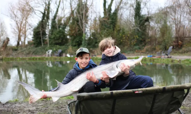 Grote steur gevangen
