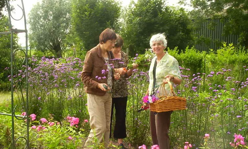 Pluktuin Steinsetuin