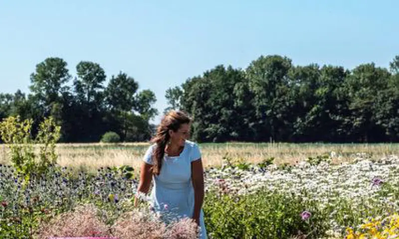 Bloemen zelf plukken