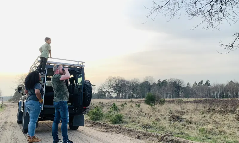 Wildsafari natuur veluwe