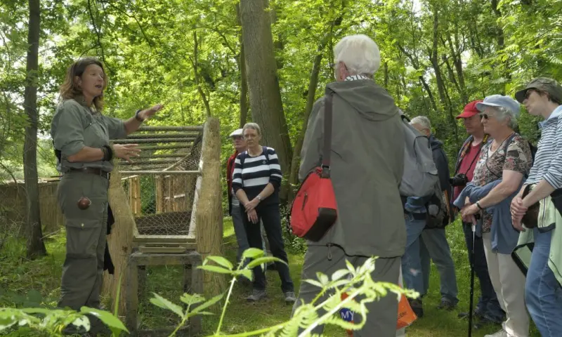 Vaartocht naar de eendenkooi - De Wieden