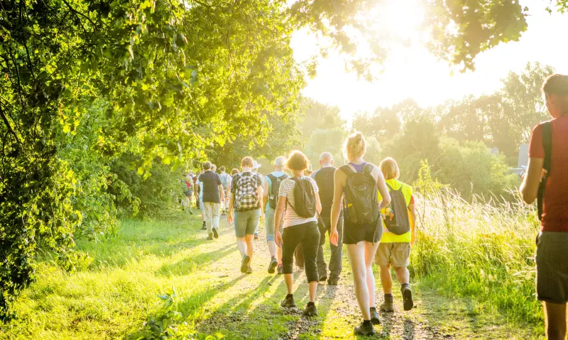 Copyright: TEAM MAPITO