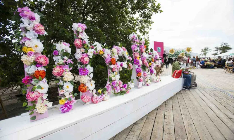 Libelle Zomer Kleurrijk