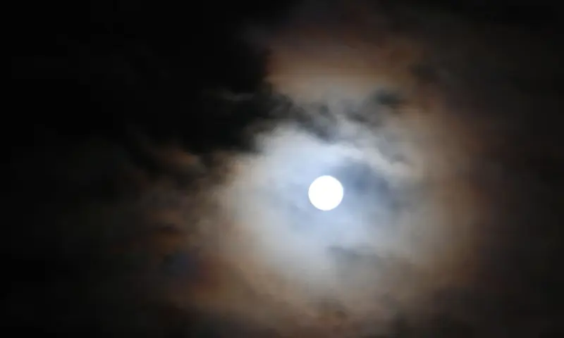 Volle Maan Huifkartocht Dwingelderveld