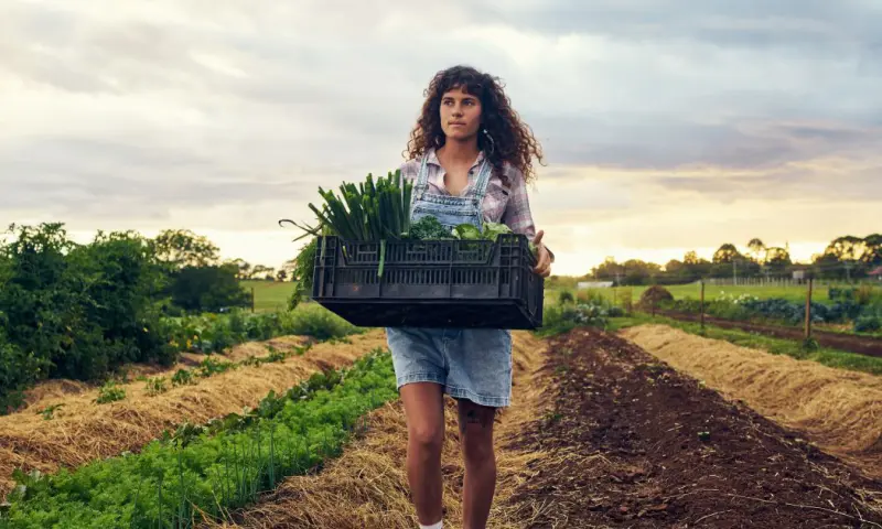 Excursie over Herenboerderij Vlinderstrik - Schiebroekse Polder