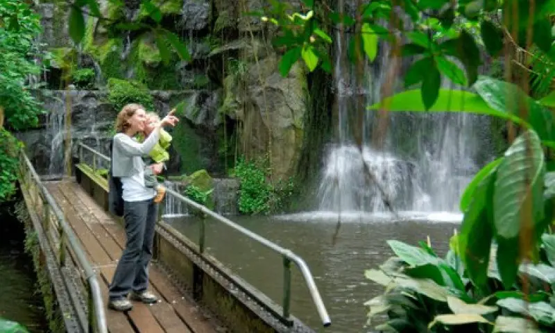 Bezoekers in dierentuin