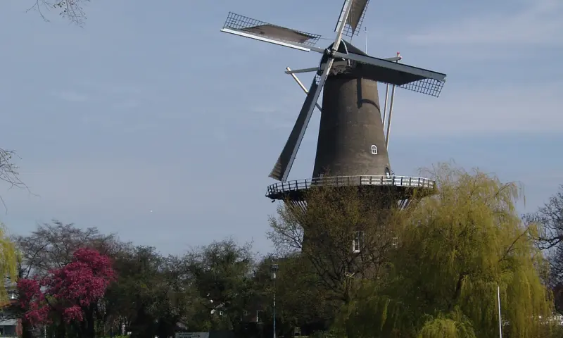 Molen