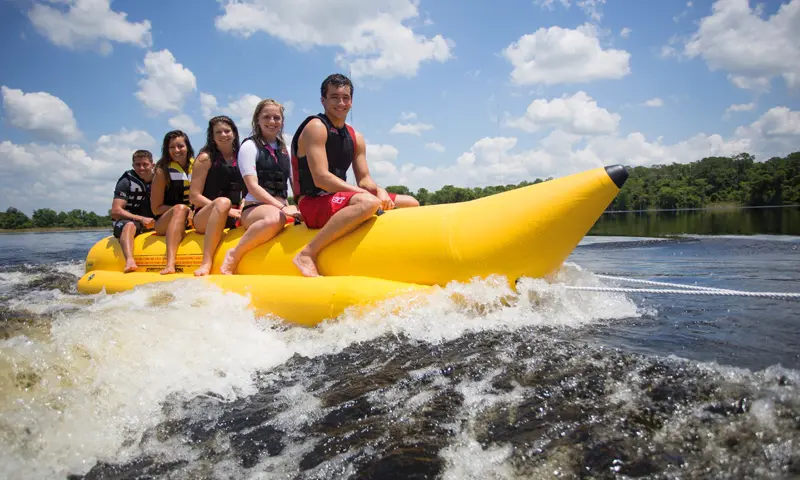 Banaan varen