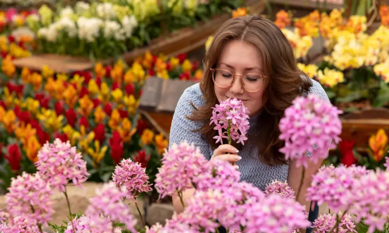 Meivakantie in Pantropica