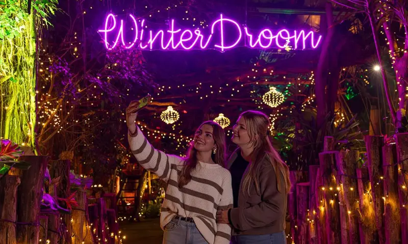 WinterDroom in Pantropica