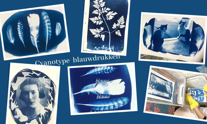 Workshop Cyanotype blauwdrukken