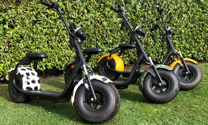 Stoere E-Cruisers