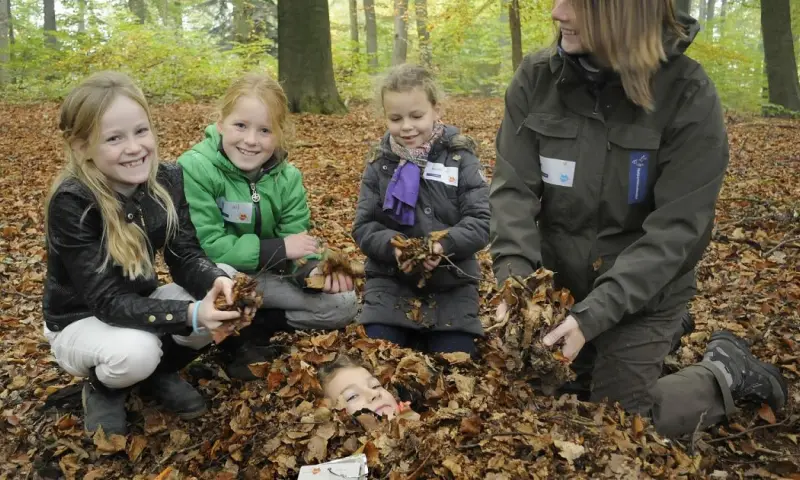OERRR Struinen en knutselen met de boswachter
