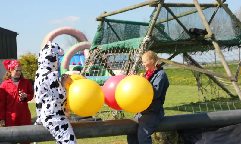 door de slootjes in de wei