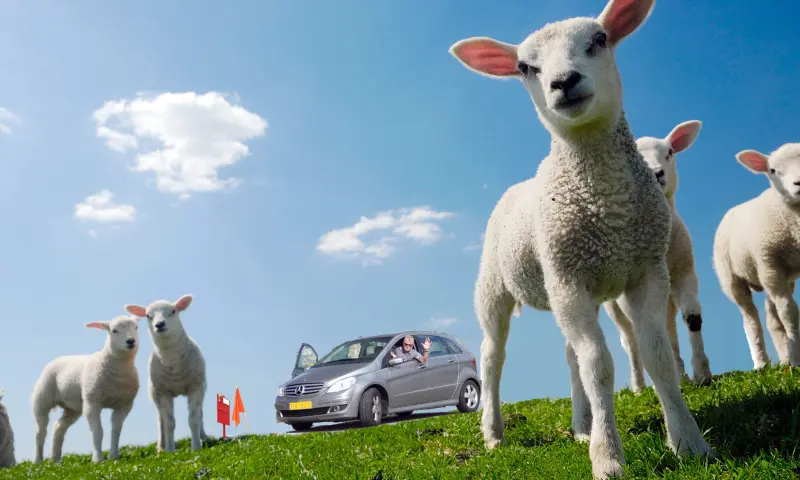 Lenterit AMBC Achterveld