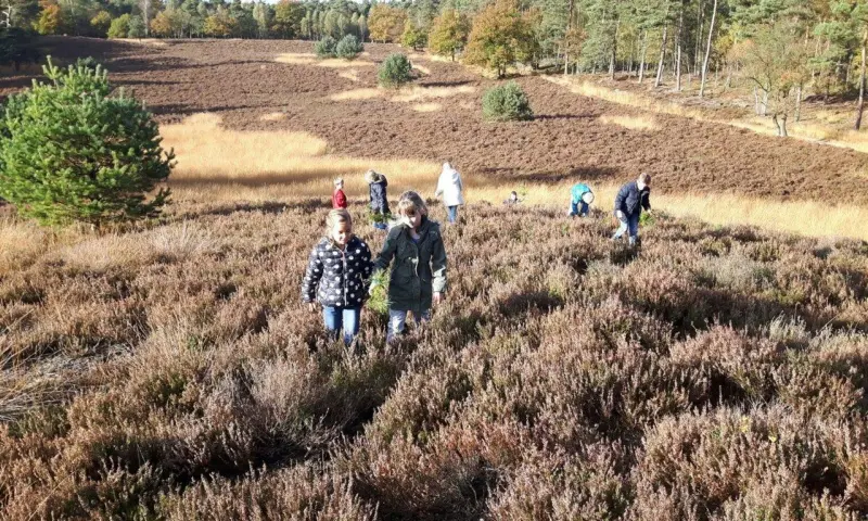Avondwandeling met de boswachter - Reeënberg Loenen