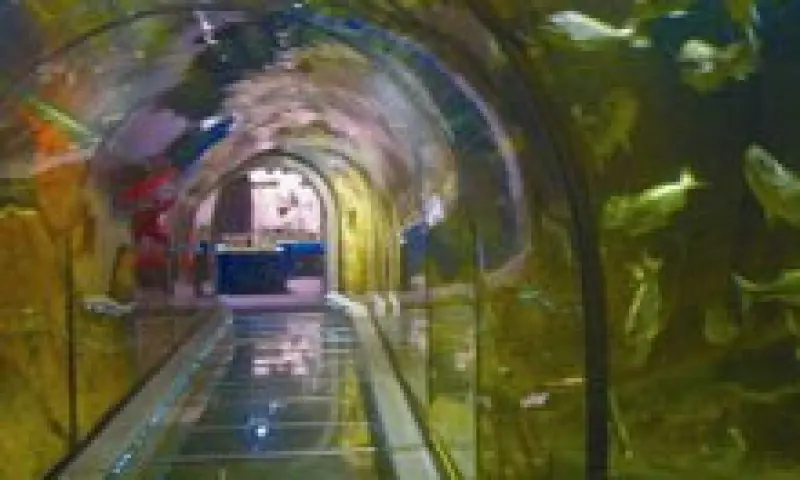 Tunnel