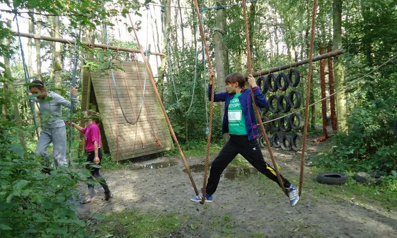 Klouteren in het bos