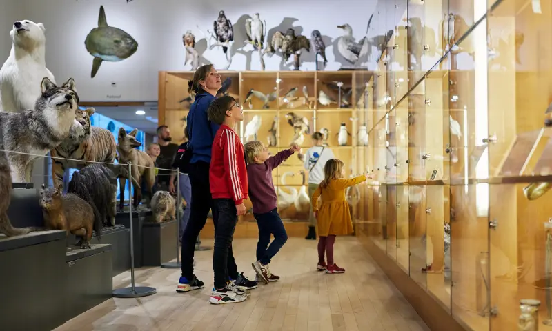 Natuurhistorisch museum