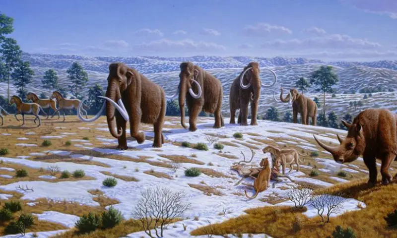 Mammoeten in oertijd