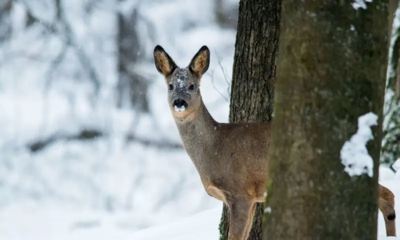Met de gids op stap in Februari