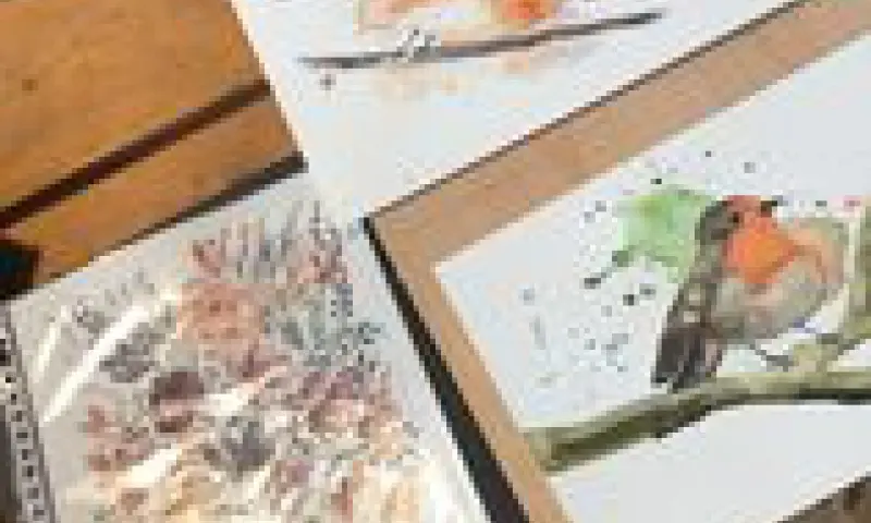 Aquarel Schilderen Werk