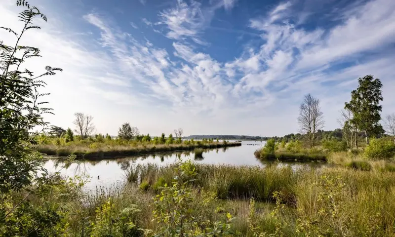 Veenexcursie: beleef het hoogveen
