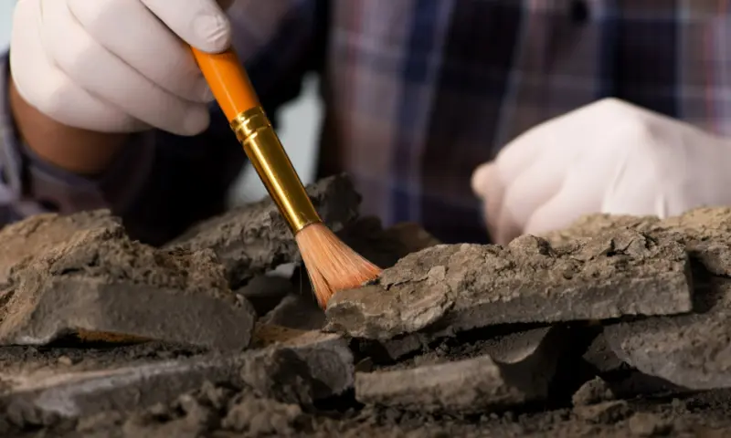 De Nationale Archeologiedagen