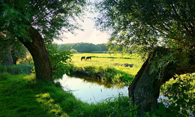 Fotograferen en varen op het Naardermeer