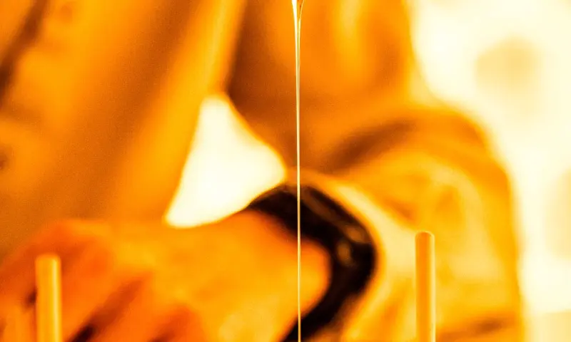 Proeven in de Mauritskazerne