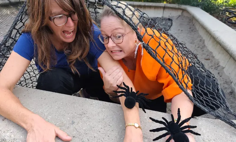 Een spinnetje, een spinnetje, dat zocht naar een vriendinnetje