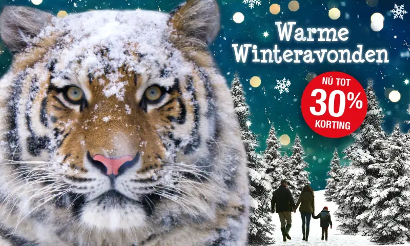 Warme Winteravonden