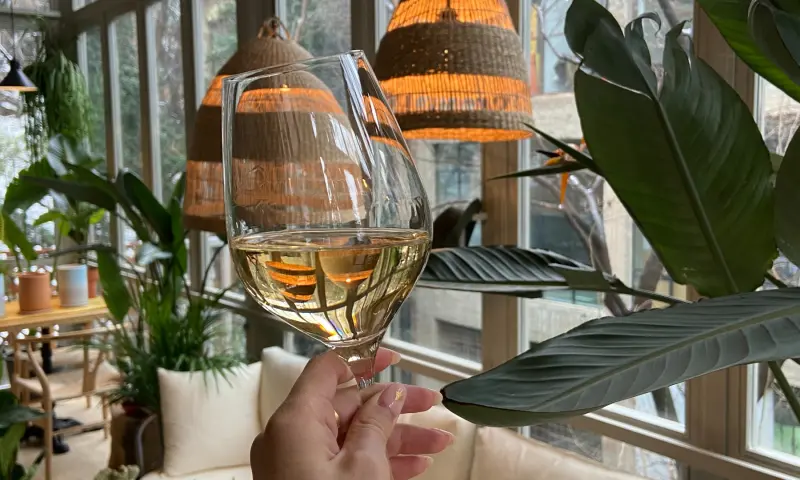 Leer proeven als een professional