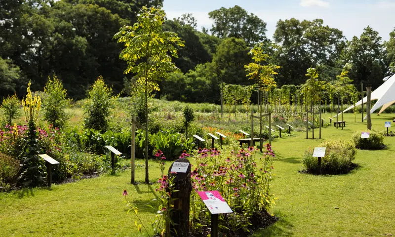 overzicht A.vogel tuinen