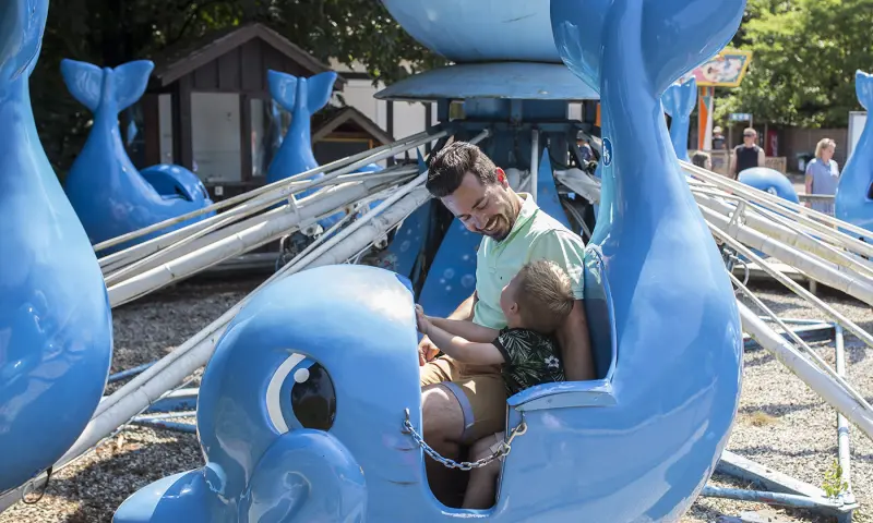Attractie Boudewijn Seapark