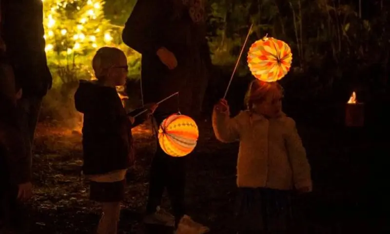 Lichtjestocht in de Loonse en Drunense Duinen