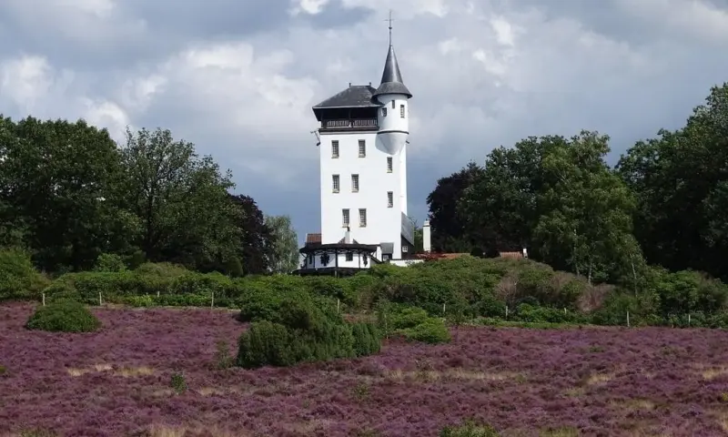 Op stap met de boswachter op de Sprengenberg