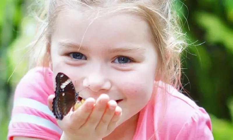 Bezoeker met vlinder