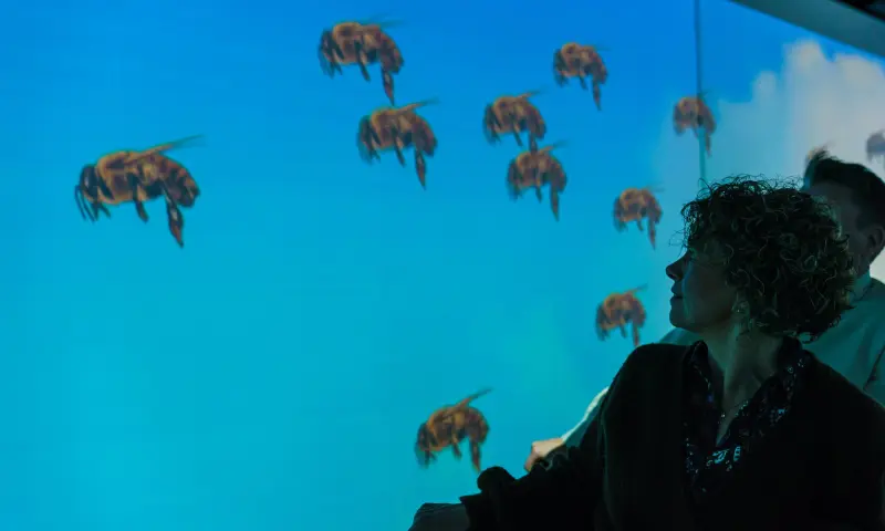 Proeven in de Mauritskazerne