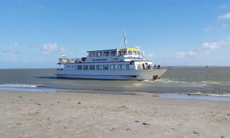 Zeehondentocht met zandplaatexcursie (Silverwind)