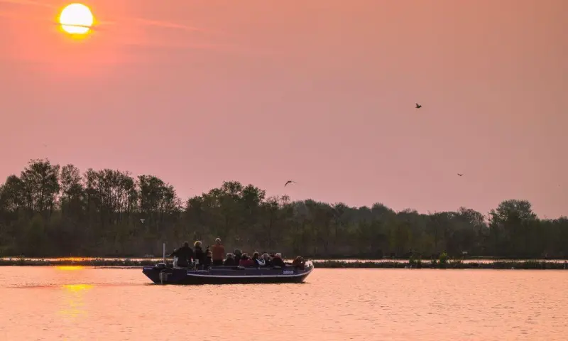 Vroege Vogel vaartocht op de Nieuwkoopse Plassen