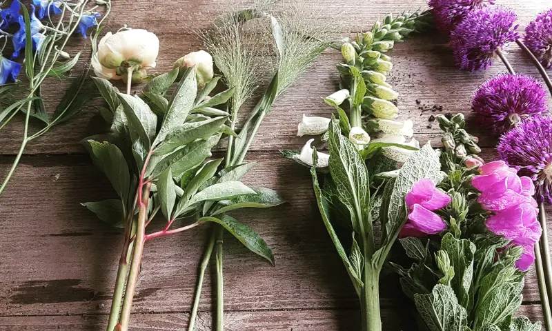 Bloemen