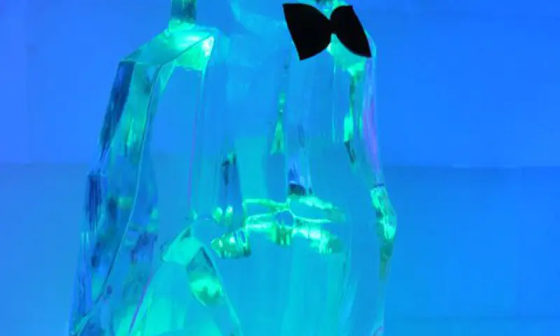 Ijsculptuur Amsterdam