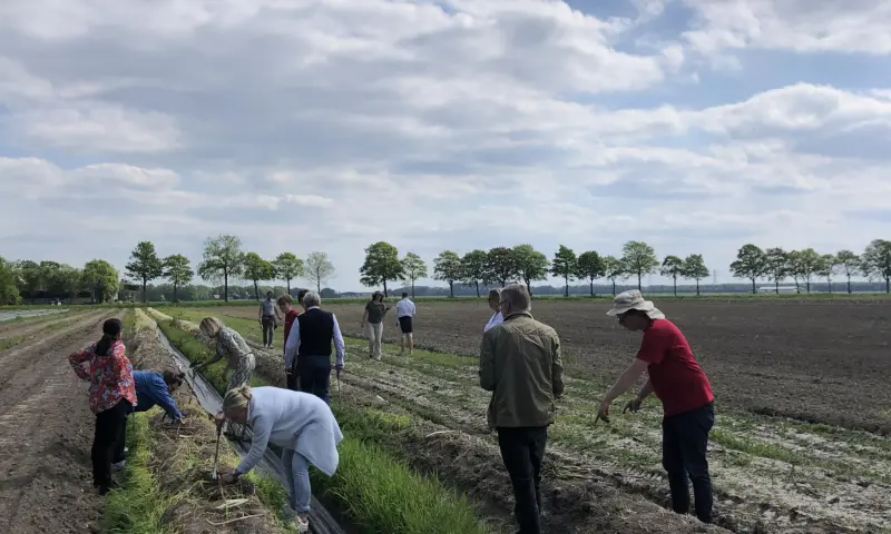 Oebele leidt een groep rond