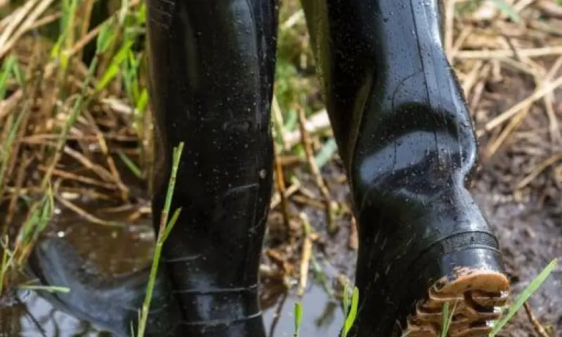 Speuren naar sporen op het Laarzenpad
